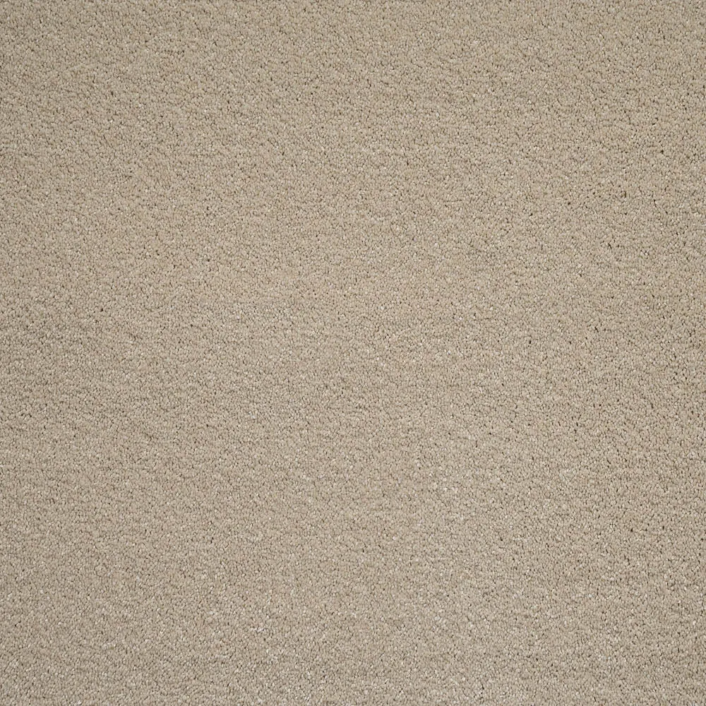 Sirius 70oz Invictus Carpet