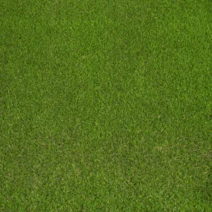 Someroaks 42mm PU Backed Artificial Grass 5m
