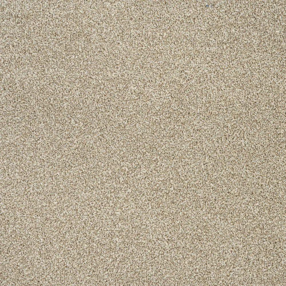 Stainaway Harvest Heathers Deluxe Carpet