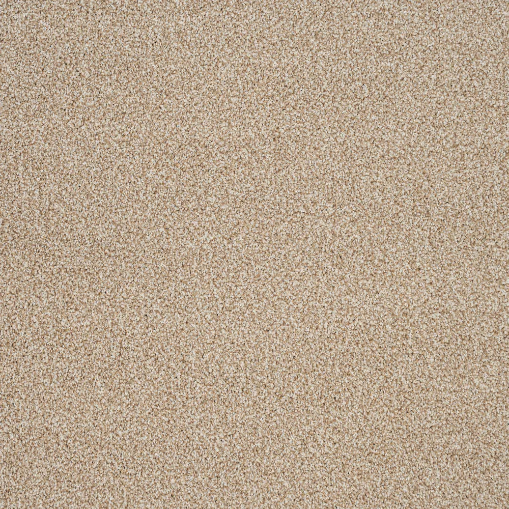 Stainaway Harvest Heathers Deluxe Carpet