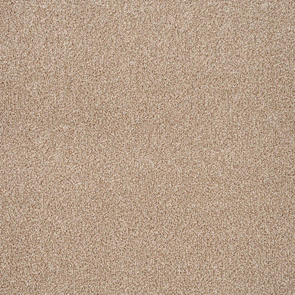 Stainaway Harvest Heathers Deluxe Carpet