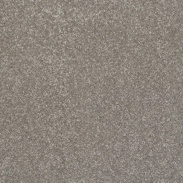 Stainfree Caress Carpet by Abingdon