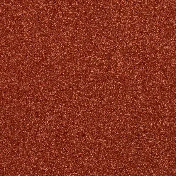Stainfree Caress Carpet by Abingdon