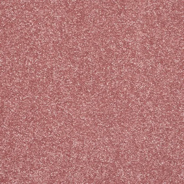 Stainfree Caress Carpet by Abingdon