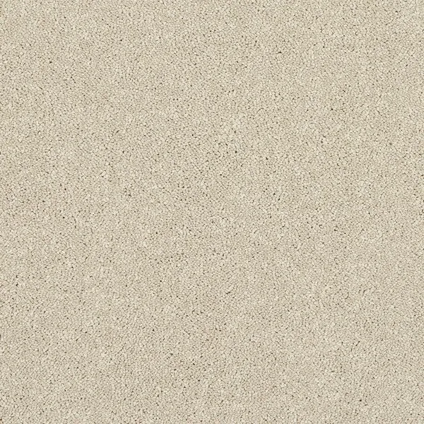Stainfree Caress Carpet by Abingdon