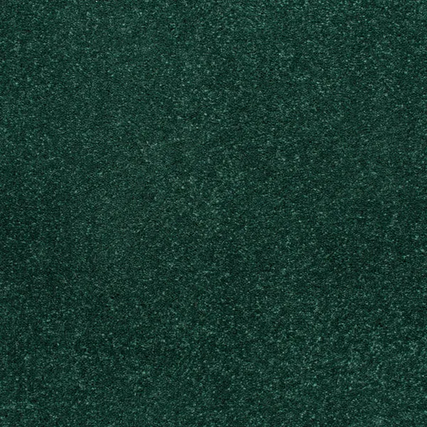 Stainfree Caress Carpet by Abingdon