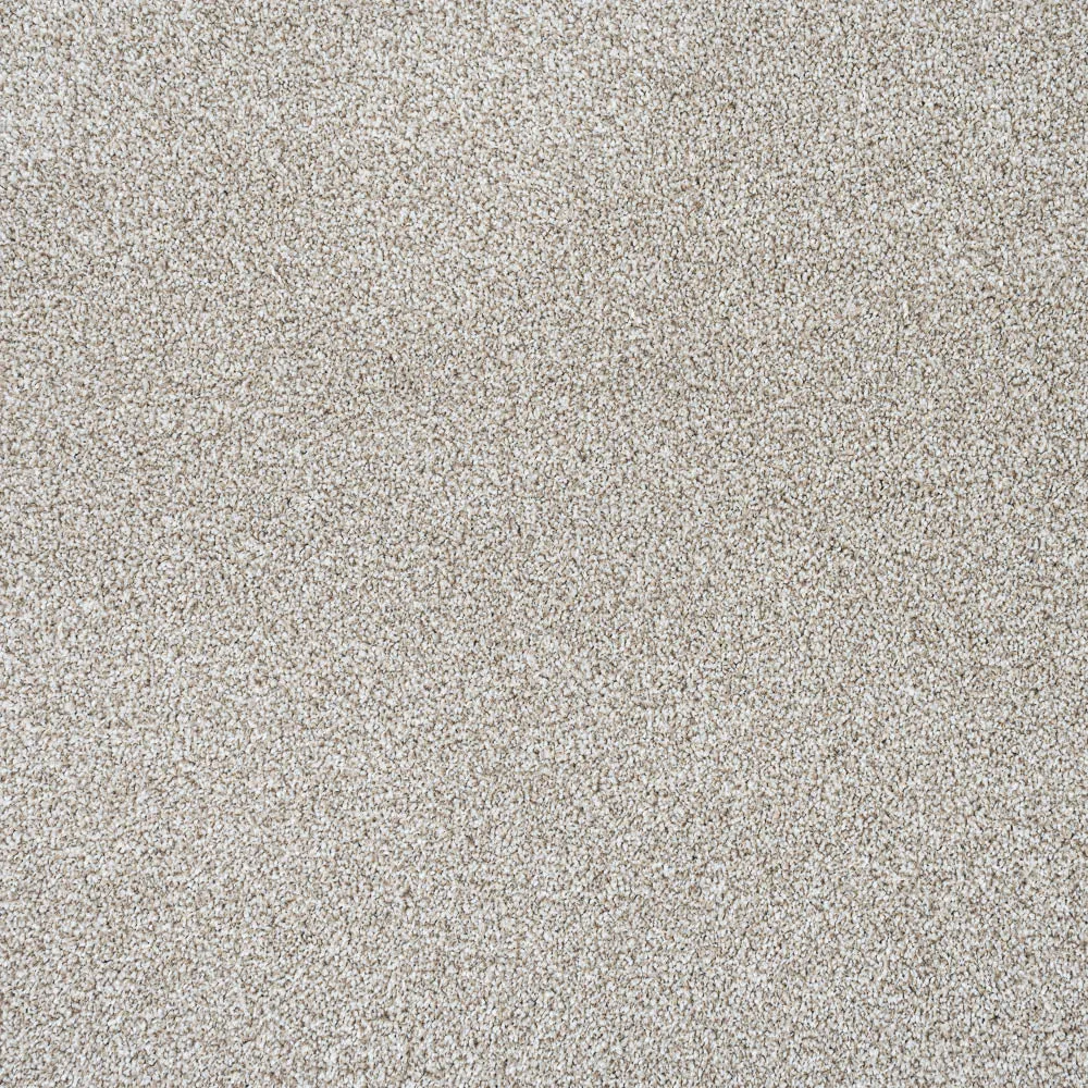 StainGuard Harvest Heathers Supreme Carpet