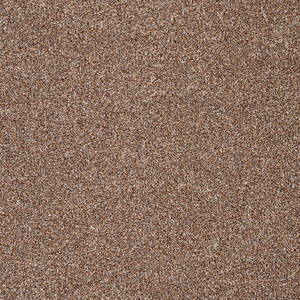 StainGuard Harvest Heathers Supreme Carpet