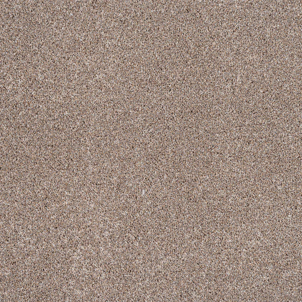 StainGuard Harvest Heathers Supreme Carpet