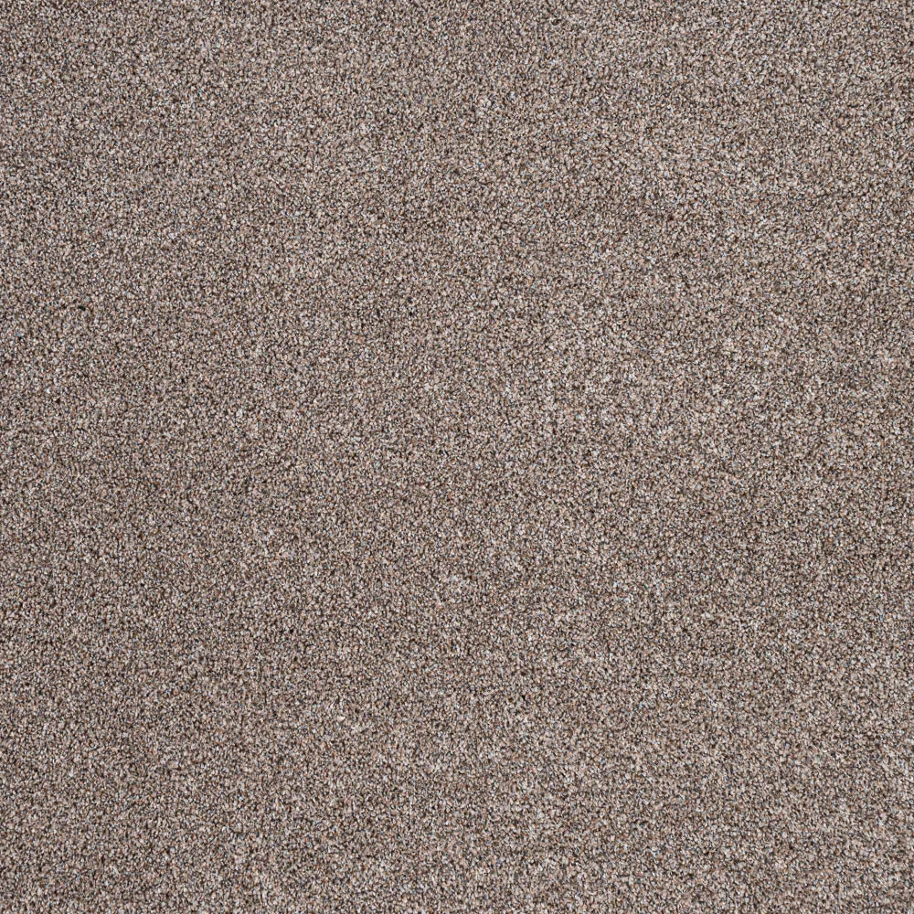 StainGuard Harvest Heathers Supreme Carpet