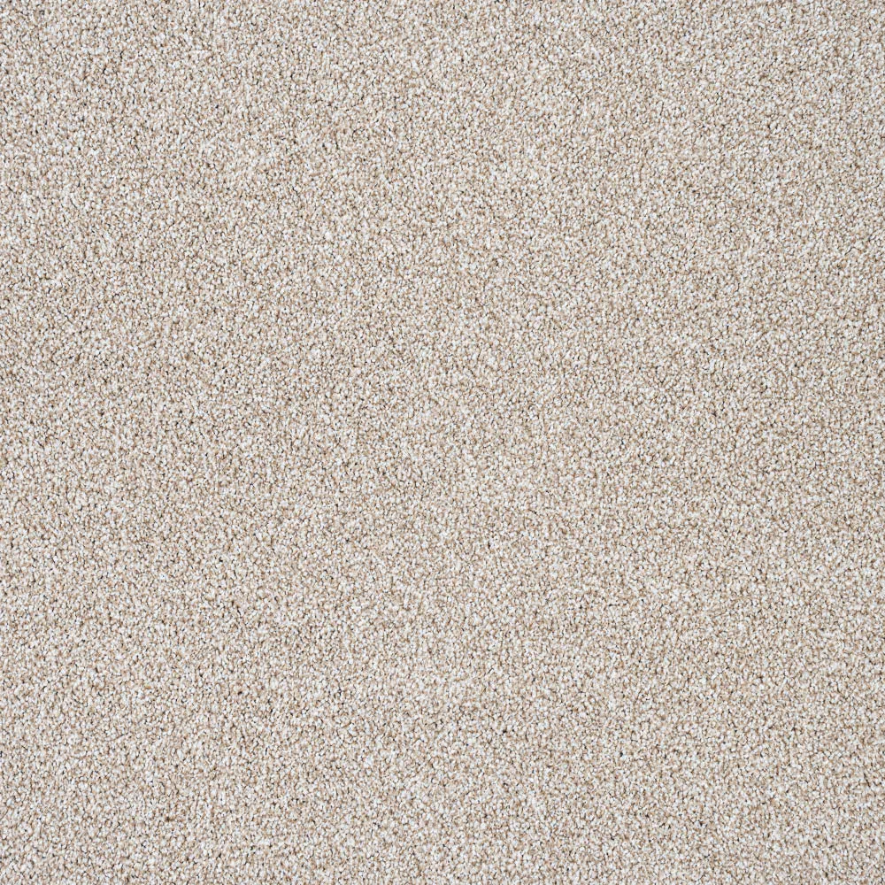 StainGuard Harvest Heathers Supreme Carpet