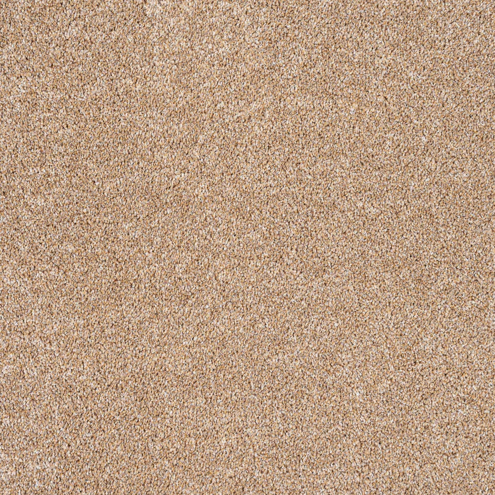 StainGuard Harvest Heathers Supreme Carpet