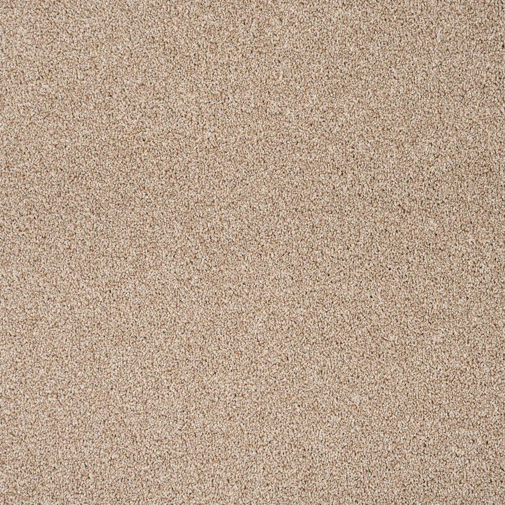 StainGuard Harvest Heathers Supreme Carpet
