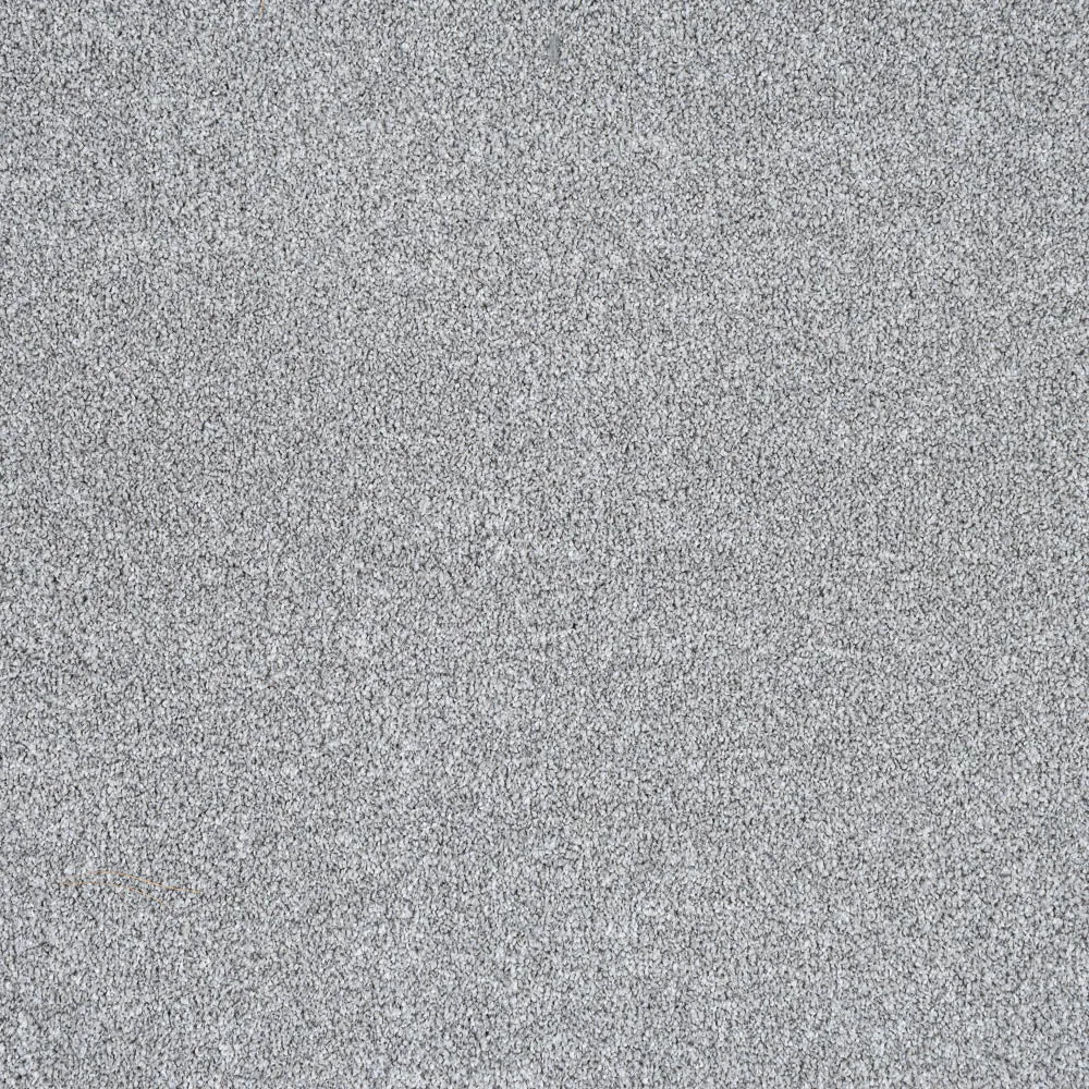 StainGuard Harvest Heathers Supreme Carpet