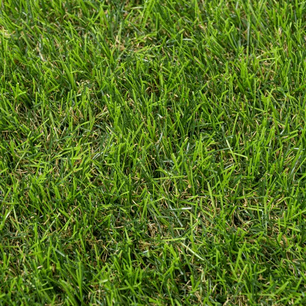 Stamford 40mm Artificial Grass 5m