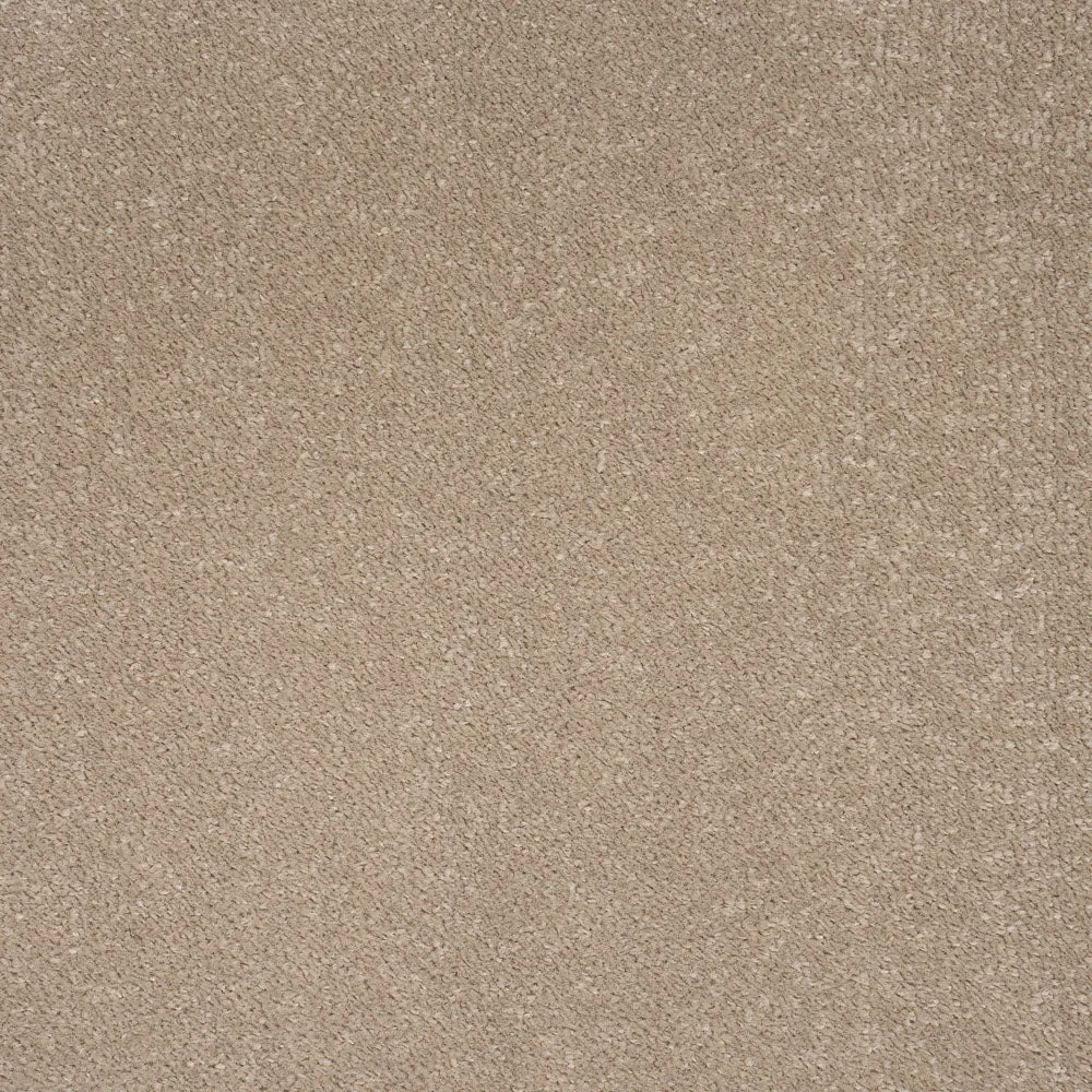 Star Twist Carpet