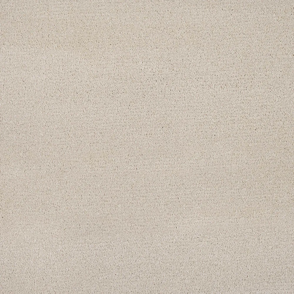 Verdi Saxony Carpet