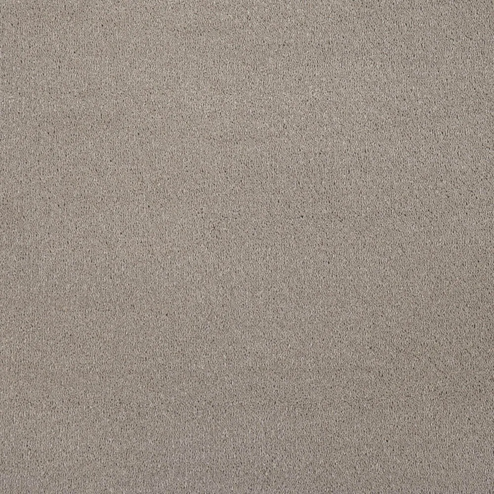 Verdi Saxony Carpet