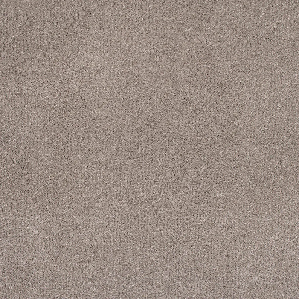 Verdi Saxony Carpet