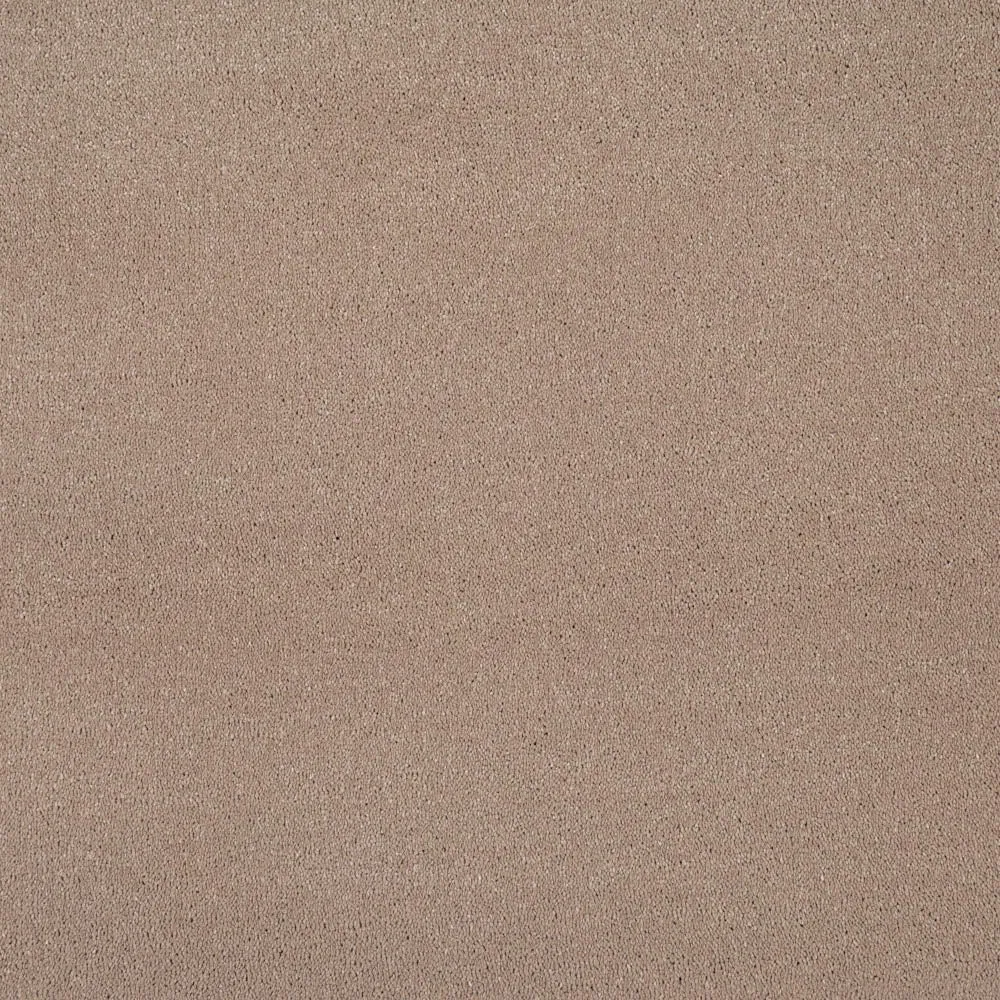 Verdi Saxony Carpet