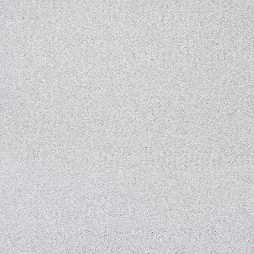 Vista Twist Carpet