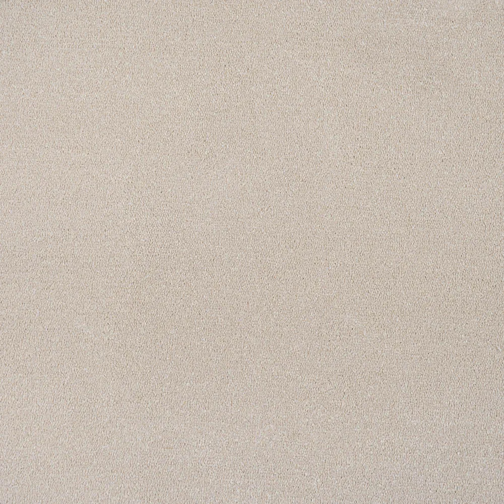 Vista Twist Carpet