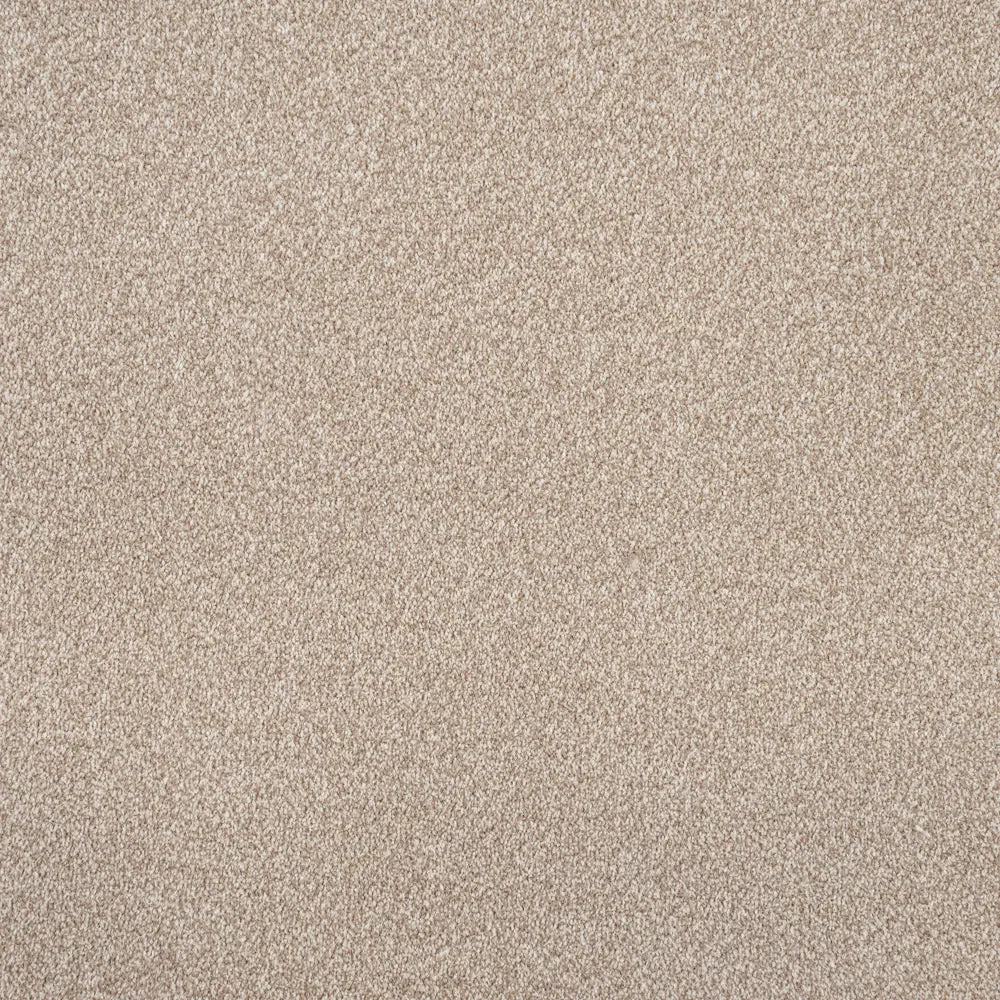 Vista Twist Carpet