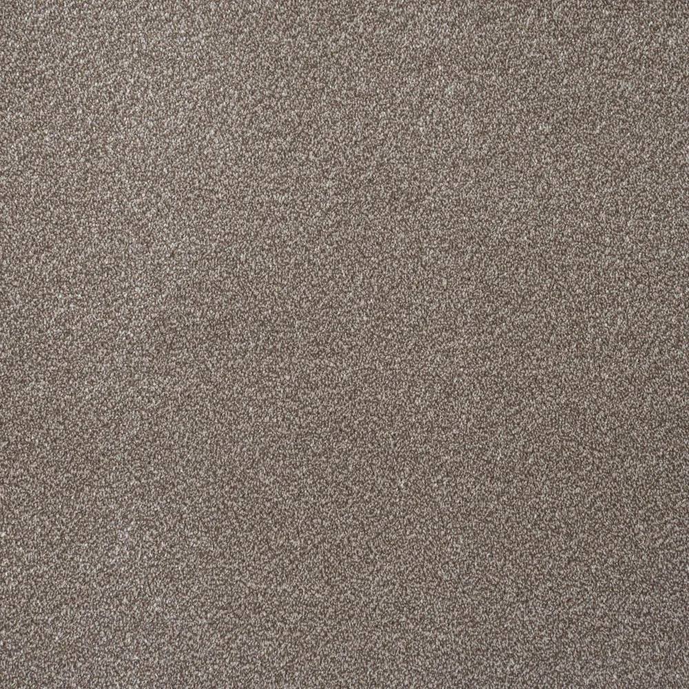 Vista Twist Carpet